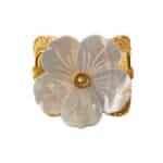 INFINITA GARDEN SHELL BRACELET